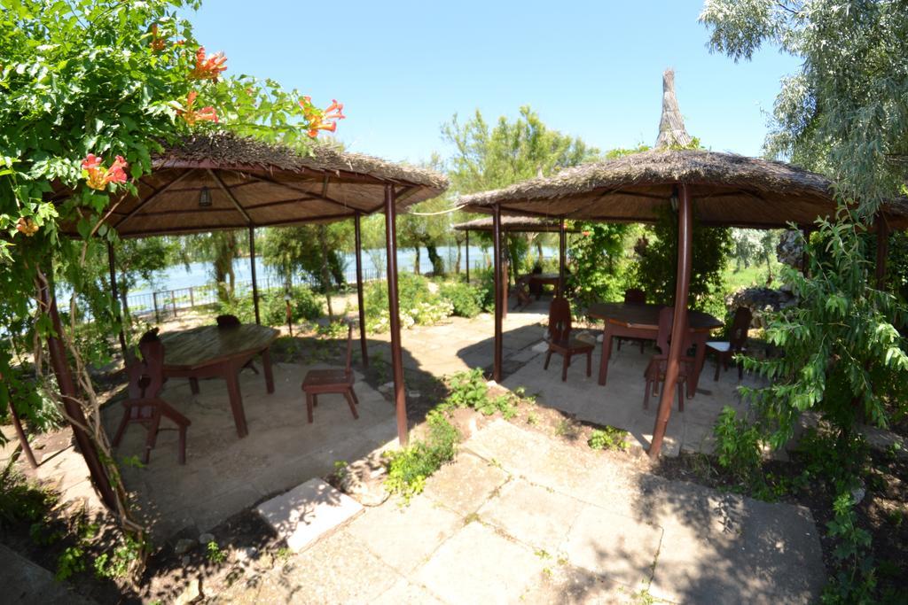 Complex Amazon Hotell Neptun Rum bild